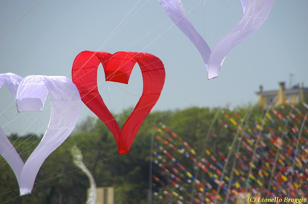 32 FESTIVAL CERVIA 2012 - 036.jpg